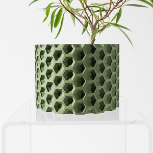 May include: A green planter with a honeycomb pattern, holding a small green plant. The planter is sitting on a clear acrylic table.
