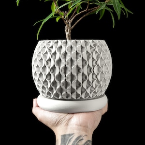 Op de afbeelding: Een witte keramische pot met een golvend, getextureerd ontwerp. De pot bevat een kleine groene plant met meerdere takken.
