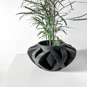 Peut inclure: Un pot de fleurs géométrique noir avec une plante verte à l'intérieur. Le pot a un design unique et complexe avec une série de lignes et de courbes qui s'entrecroisent.