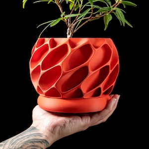 May include: A bright orange, 3D printed planter with a unique honeycomb design. The planter is holding a small green plant and is being held in a person's hand.