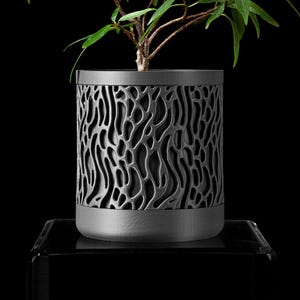 Op de afbeelding: Een kleine groene plant in een zwarte pot met een getextureerd, organisch patroon. De pot is gemaakt van een donker, metalen materiaal.