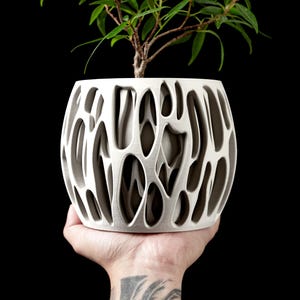 May include: A white ceramic planter with an intricate, organic pattern. The planter is shaped like a sphere and has a large opening at the top. A small green plant is growing inside the planter.