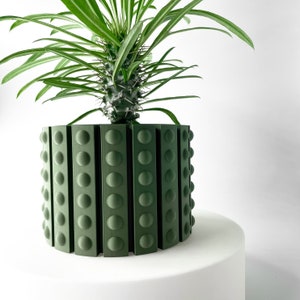 Pode incluir: Um vaso verde com um design texturizado único. O vaso é composto por cristas verticais com reentrâncias circulares. Uma planta suculenta verde está crescendo no vaso.