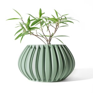 Peut inclure: Un pot en céramique vert avec un design côtelé, présentant une petite plante verte avec des feuilles.