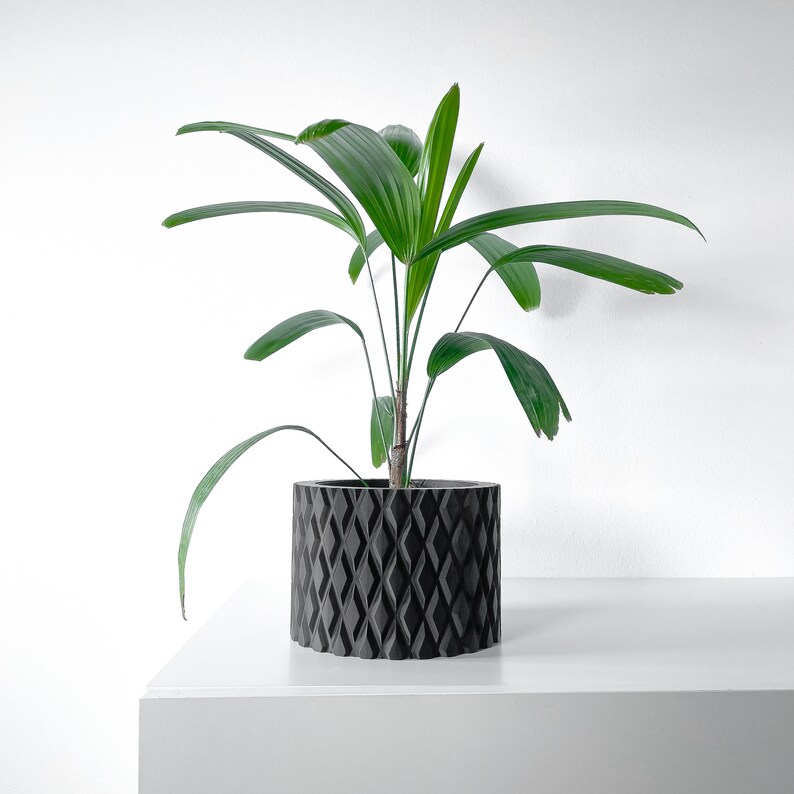 May include: A green houseplant with large leaves in a black geometric planter. The planter has a diamond pattern.