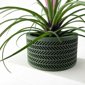 May include: A green planter with a geometric pattern, featuring a green plant with pink flowers.