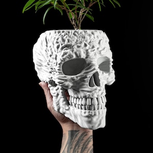 May include: White ceramic skull planter with a small green plant growing out of the top.