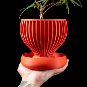 以下が含まれることがあります： リブ状の縦のテクスチャーと幅広で丸みを帯びたベーストレイを備えた、鮮やかなオレンジ色の植木鉢。鉢は先細りの砂時計のようなシルエットで、上部の開口部から伸びる細い茎と葉を持つ小さな緑の植物が入っています。