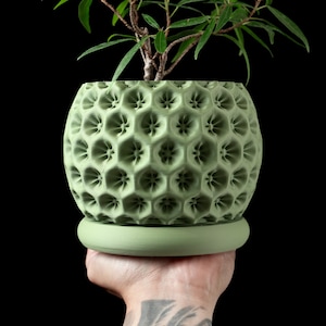 May include: A green ceramic planter with a textured, honeycomb-like design. The planter has a round base and a wide opening. A small green plant is growing inside the planter.