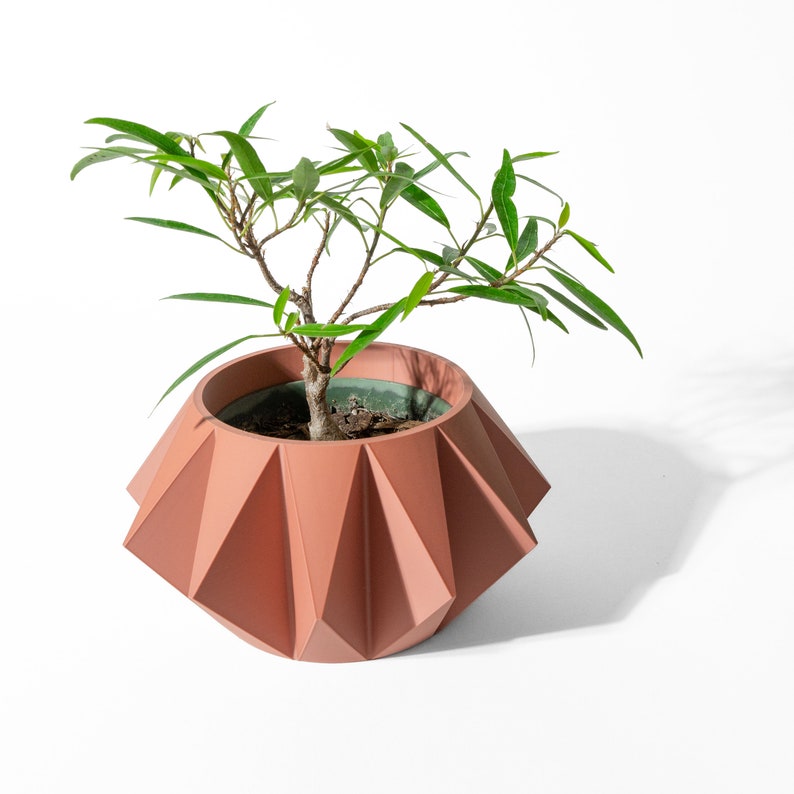 May include: A small green plant with thin leaves growing in a terracotta-coloured planter. The planter features a geometric, faceted design with sharp, angular folds around its exterior, creating a distinct, multi-sided, star-like shape.