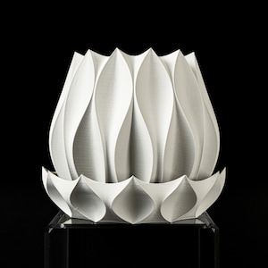 May include: White ceramic planter with a unique, geometric design resembling a flower. The planter has a wide, open top and a base with a scalloped edge.