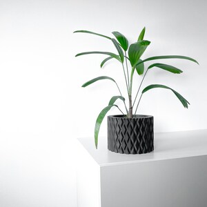 May include: A green houseplant with long, slender leaves in a black, geometric patterned planter pot. The pot is sitting on a white surface.