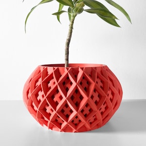 Peut inclure: Un pot de fleurs géométrique rouge avec une plante qui pousse. Le pot a un motif en losanges et est fait d'un matériau lisse.