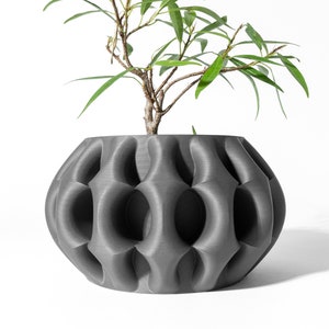 May include: A gray, textured ceramic planter with a unique, geometric design. The planter is filled with a small green plant.