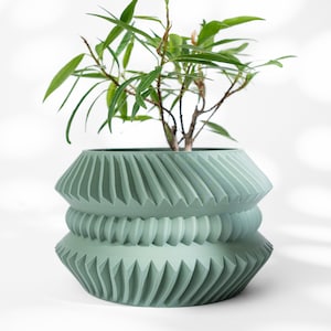 May include: A green ceramic planter with a geometric design. The planter has a wide, round base and a narrow top. A small green plant is growing in the planter.