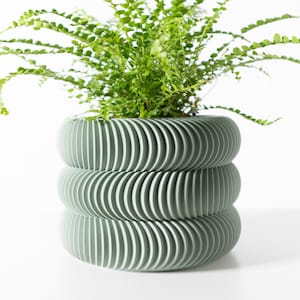 May include: A green ceramic planter with a unique, wavy, layered design. A green fern plant is growing in the planter.