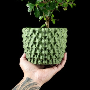 Op de afbeelding: Een groene, getextureerde plantenpot met een geometrisch patroon, met een kleine bonsai-boom met levendige groene bladeren. De pot wordt in een hand gehouden tegen een zwarte achtergrond, waarbij de details van de plant worden getoond.
