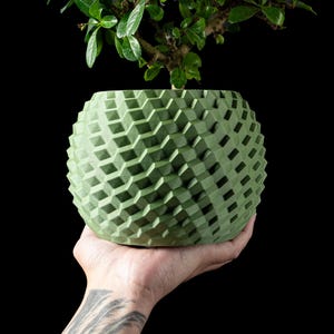 Peut inclure: Un pot vert à motifs géométriques contient un petit bonsaï aux feuilles vertes vibrantes. Le pot sphérique a une surface texturée avec un motif de cubes répétés. L'image est sur fond noir, mettant en valeur la plante et le pot.