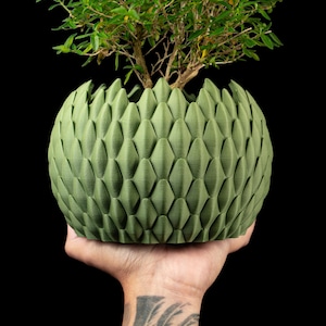 Può includere: Un vaso sferico verde strutturato con un motivo geometrico, contenente una piccola pianta verde. Il vaso è tenuto in mano su sfondo nero. La pianta ha piccole foglie verdi e rami sottili.