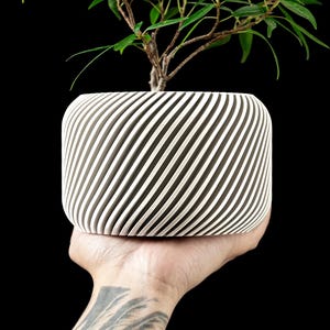 May include: A white cylindrical planter featuring a distinct diagonal ribbed texture along its exterior surface. The planter contains a small green plant with thin stems and leaves, creating a contrast against the solid white color of the container.