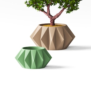 May include: Two geometric planters with a faceted, diamond-like surface texture. One planter is a muted sage green, while the larger, beige planter contains a small tree with a textured reddish-brown trunk and vibrant green leaves.