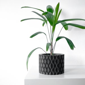 May include: A green houseplant with long, narrow leaves in a black, textured planter. The planter has a diamond pattern.