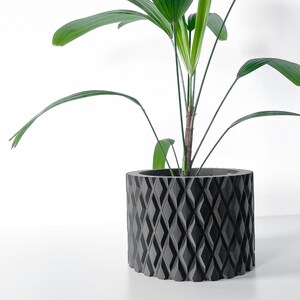 May include: A green houseplant with long, narrow leaves in a black, geometric patterned planter.