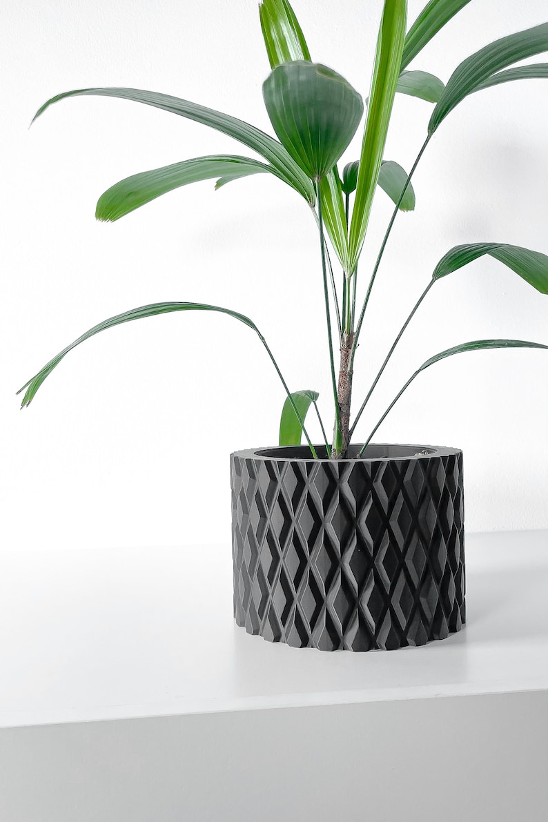 May include: A green houseplant with long, narrow leaves in a black, geometric patterned planter.