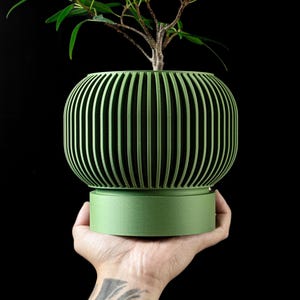 May include: A green, ribbed, round planter with a smaller, round base. A small green plant is growing in the planter.