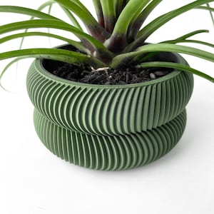 Peut inclure: Un pot de fleurs vert texturé à double paroi avec une plante verte qui pousse à l'intérieur. Le pot a un design en spirale.