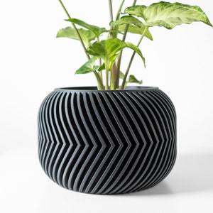 Peut inclure: Un pot noir avec un motif géométrique en chevron, contenant une plante verte aux grandes feuilles.