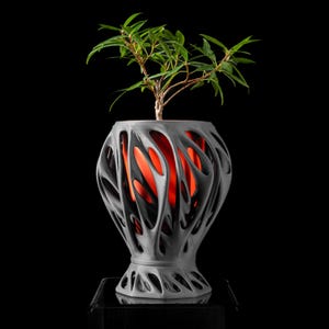 May include: A grey, 3D printed planter with a unique, organic design. The planter has a wide, open top and a narrow base. A small green plant is growing inside the planter.