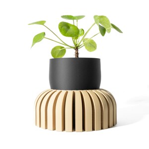 Peut inclure: Une plante verte feuillue dans un pot noir repose sur un pot en bois à nervures brun clair. Le pot a une forme arrondie.