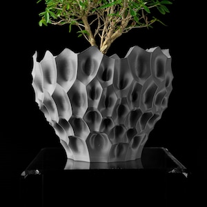 May include: A gray, textured planter with a honeycomb design, holding a small green-leafed tree. The planter has a unique, geometric pattern and sits on a black surface against a black background. The tree's branches extend upwards.