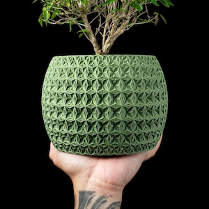 May include: A green, patterned planter with a small tree. The planter has a geometric design and is held in a hand against a black background. The tree has green leaves and brown branches. The planter is approximately 6 inches in diameter.