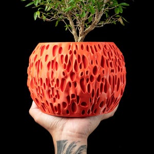 Op de afbeelding: Een feloranje, bolvormige plantenbak met een uniek, poreus ontwerp. De plantenbak bevat een kleine bonsai-boom met groene bladeren en een bruine stam. De plantenbak wordt in een hand gehouden tegen een zwarte achtergrond.