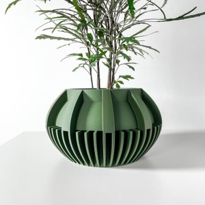 Pode incluir: Um vaso verde, redondo e com nervuras, com uma planta crescendo dentro dele. O vaso tem um design único com nervuras verticais que criam um padrão geométrico.