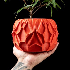May include: A bright orange, geometrically patterned ceramic planter with a small green plant growing inside.