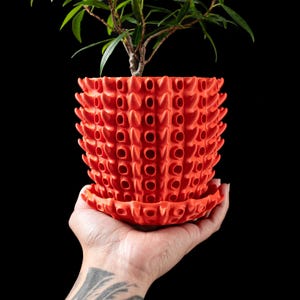 Puede incluir: Una maceta de color naranja brillante con un diseño único y puntiagudo. La maceta está hecha de un material texturizado y tiene un pequeño platillo. Una pequeña planta verde está creciendo en la maceta.