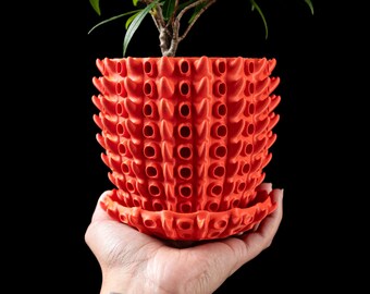 Könnte beinhalten: Ein leuchtend orangefarbener Topf mit einem einzigartigen, stacheligen Design. Der Topf ist aus einem strukturierten Material gefertigt und hat eine kleine Untertasse. Eine kleine grüne Pflanze wächst im Topf.