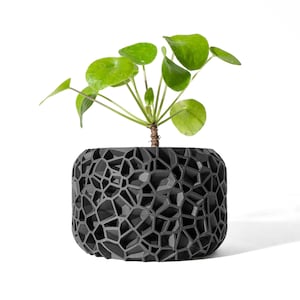 May include: A black geometric planter with a green leafy plant inside. The planter has a textured, honeycomb-like design.
