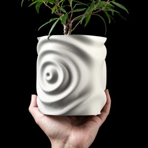 May include: White ceramic planter with a swirling, textured design. A small green plant is growing in the planter.