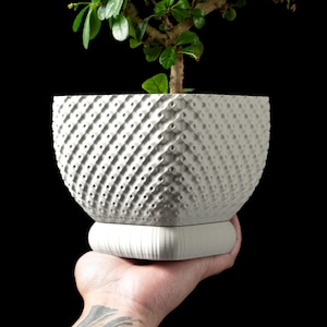 Peut inclure: Un pot de plante blanc texturé contenant un bonsaï. Le pot a une forme arrondie avec un motif en pointillés et repose sur une base carrée. Le bonsaï a des feuilles vertes et un tronc brun. Le fond est noir.