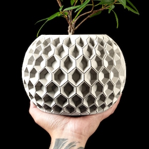 May include: A white ceramic planter with a honeycomb pattern, holding a small green plant. The planter is spherical and has a textured surface.