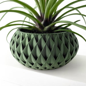 Cinor Planter Pot STL File: Geometric 3D Print Design (Digital Download)