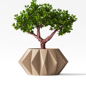 May include: A small green tree with a textured reddish-brown trunk planted in a beige planter. The planter features a geometric, faceted design with sharp, angular edges and a matte, granular surface texture that contrasts with the smooth leaves.