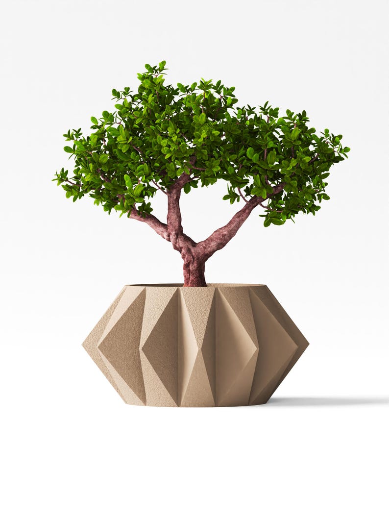 May include: A small green tree with a textured reddish-brown trunk planted in a beige planter. The planter features a geometric, faceted design with sharp, angular edges and a matte, granular surface texture that contrasts with the smooth leaves.