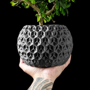 May include: A dark gray, spherical planter with a geometric pattern, holding a small bonsai tree with green leaves. The planter is held in a hand against a black background. The planter's diameter is approximately 6 inches.