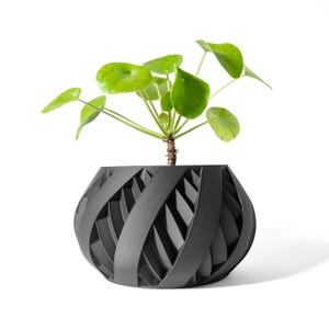 May include: A black, geometric patterned planter with a green leafy plant inside. The planter has a unique, twisted design.