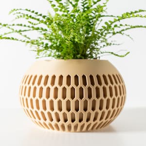 May include: A beige, spherical plant pot featuring a honeycomb design, holding a lush green fern. The pot's geometric pattern offers a contemporary aesthetic. Ideal for displaying plants, the pot measures approximately 25 cm in diameter.
